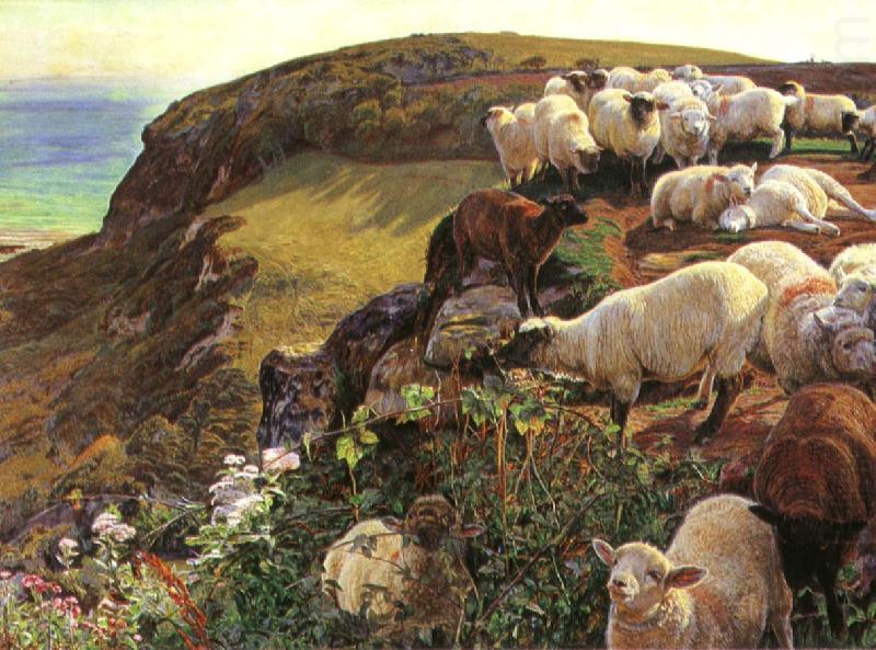 Our English Coasts, William Holman Hunt